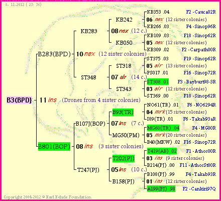 Pedigree of B3(BPD} :
four generations presented